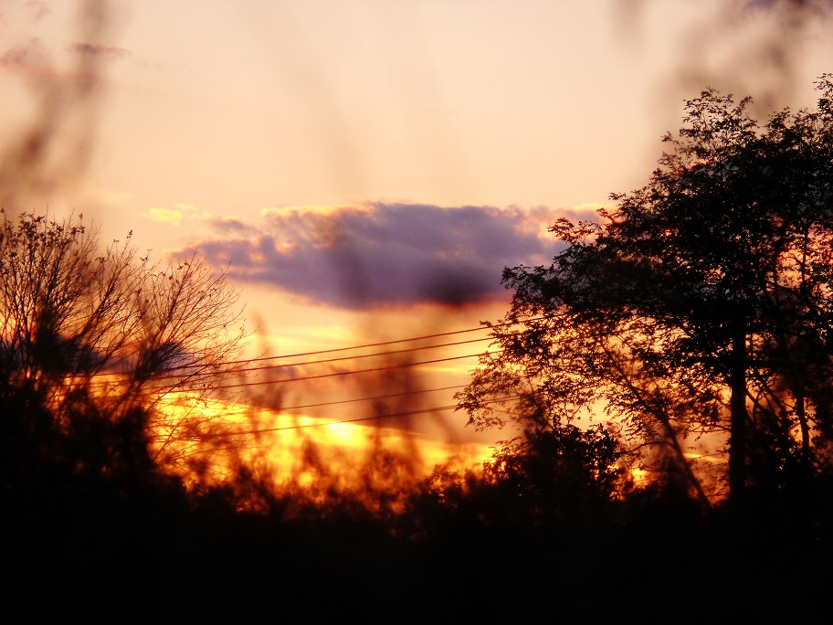 l1070852_conew1.jpg