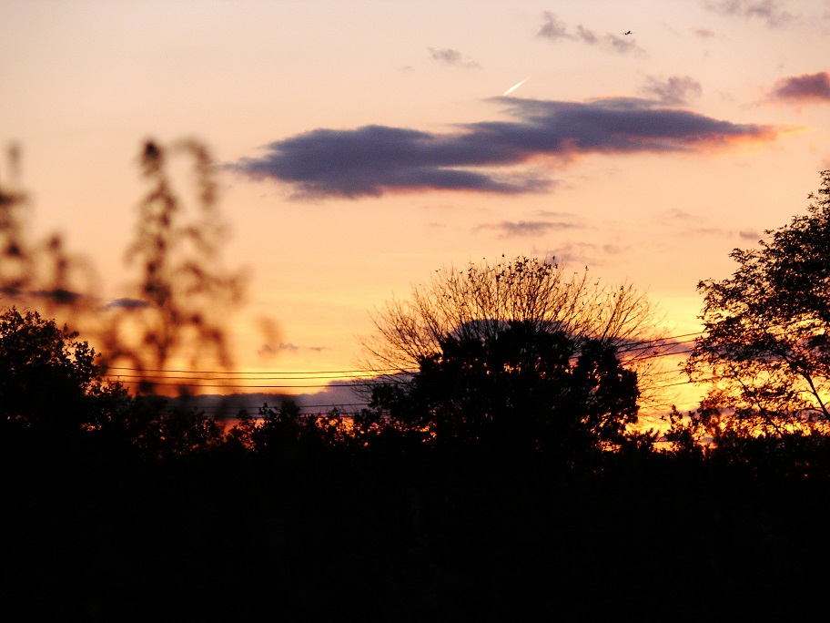 l1070848_conew1.jpg