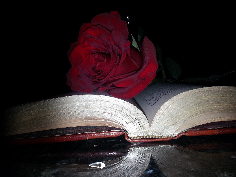 20131008_234804.jpg