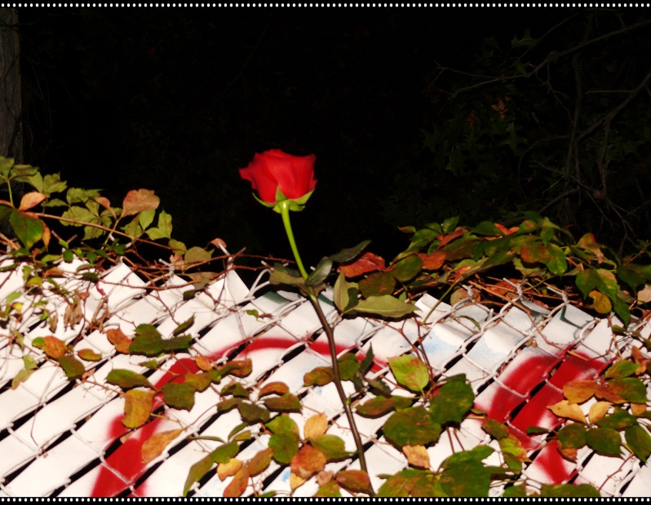 l1060414_conew1.jpg