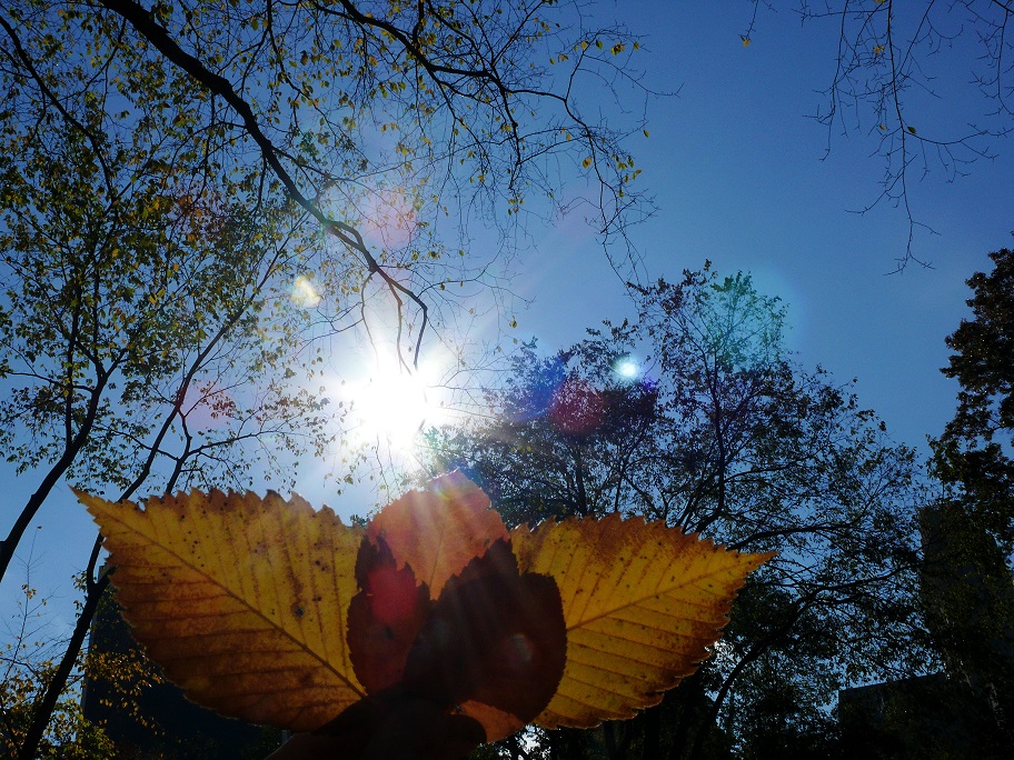 l1070202_conew1.jpg