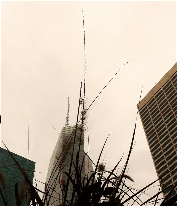 l1060519_conew1.jpg