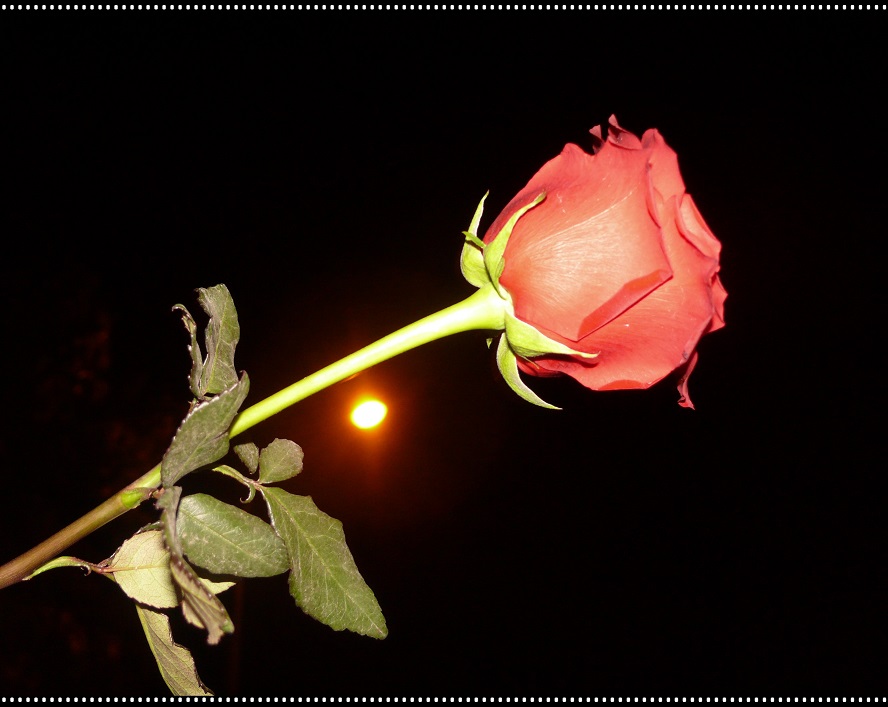 l1060418_conew1.jpg