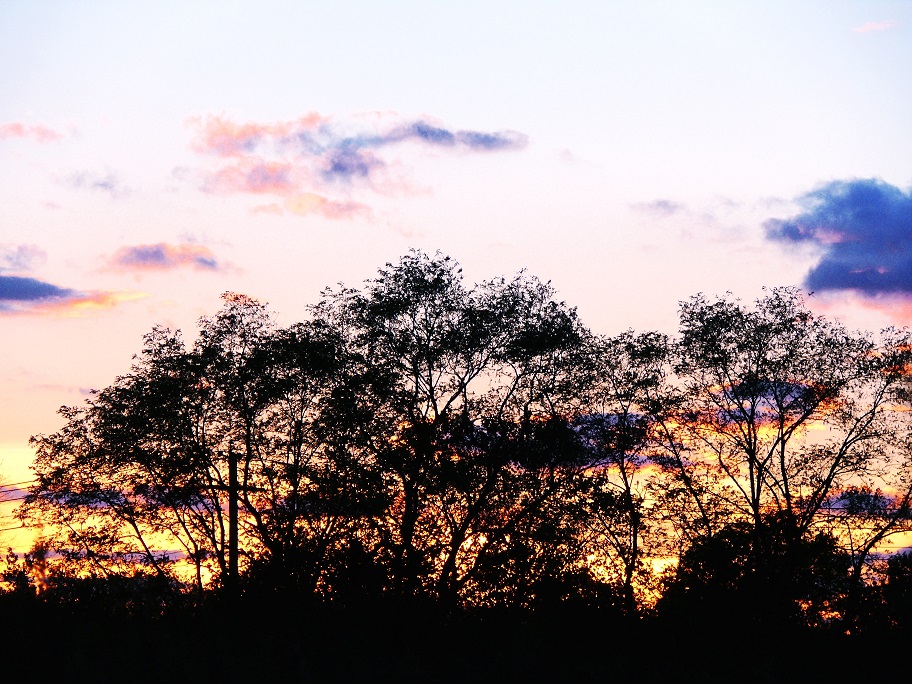 l1070847_conew2.jpg