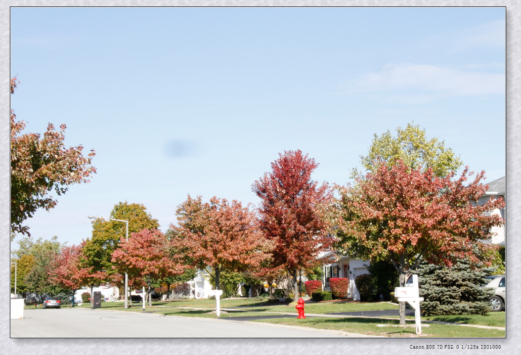 _MG_0070.JPG