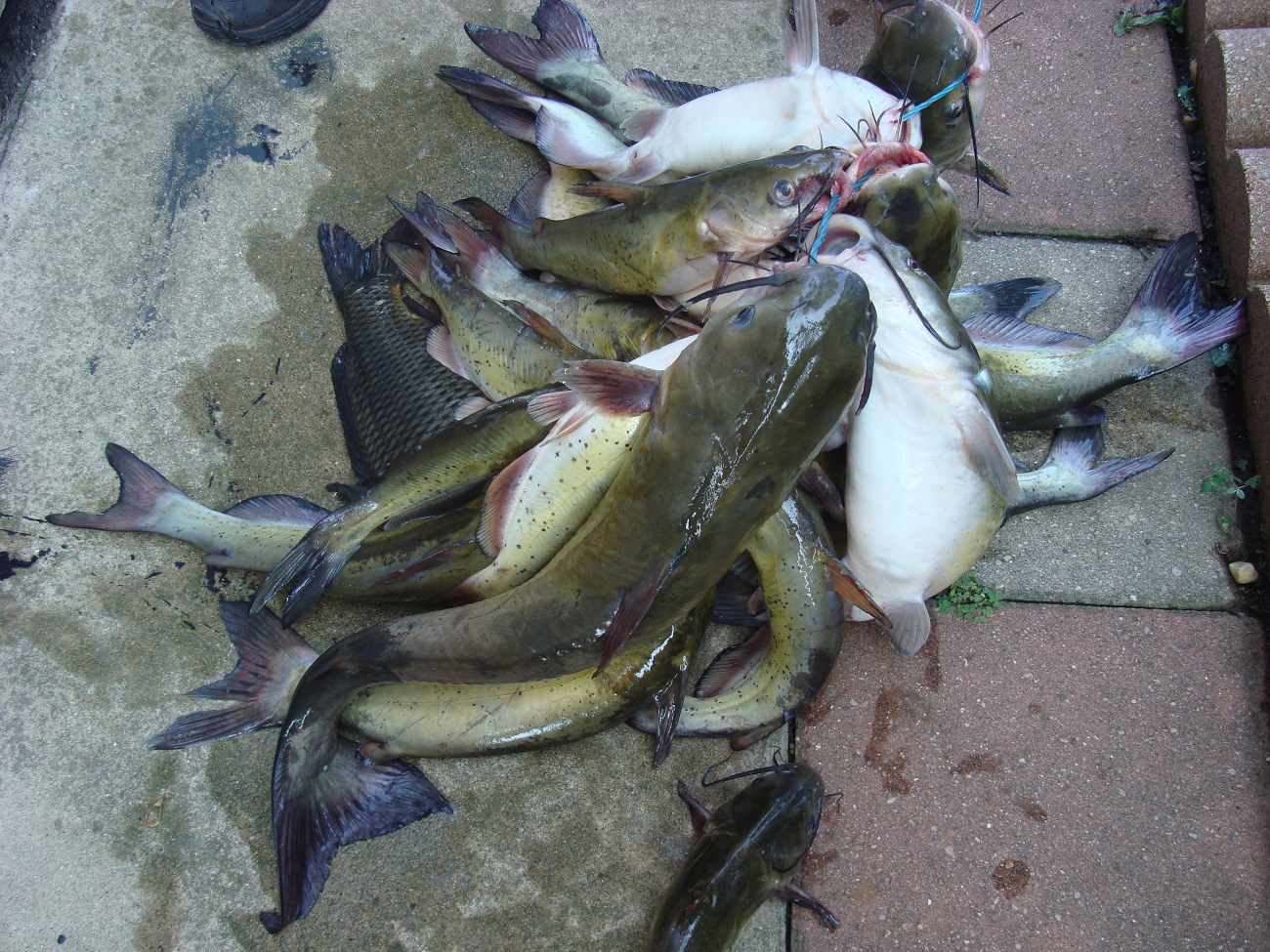 DSC04344.JPG