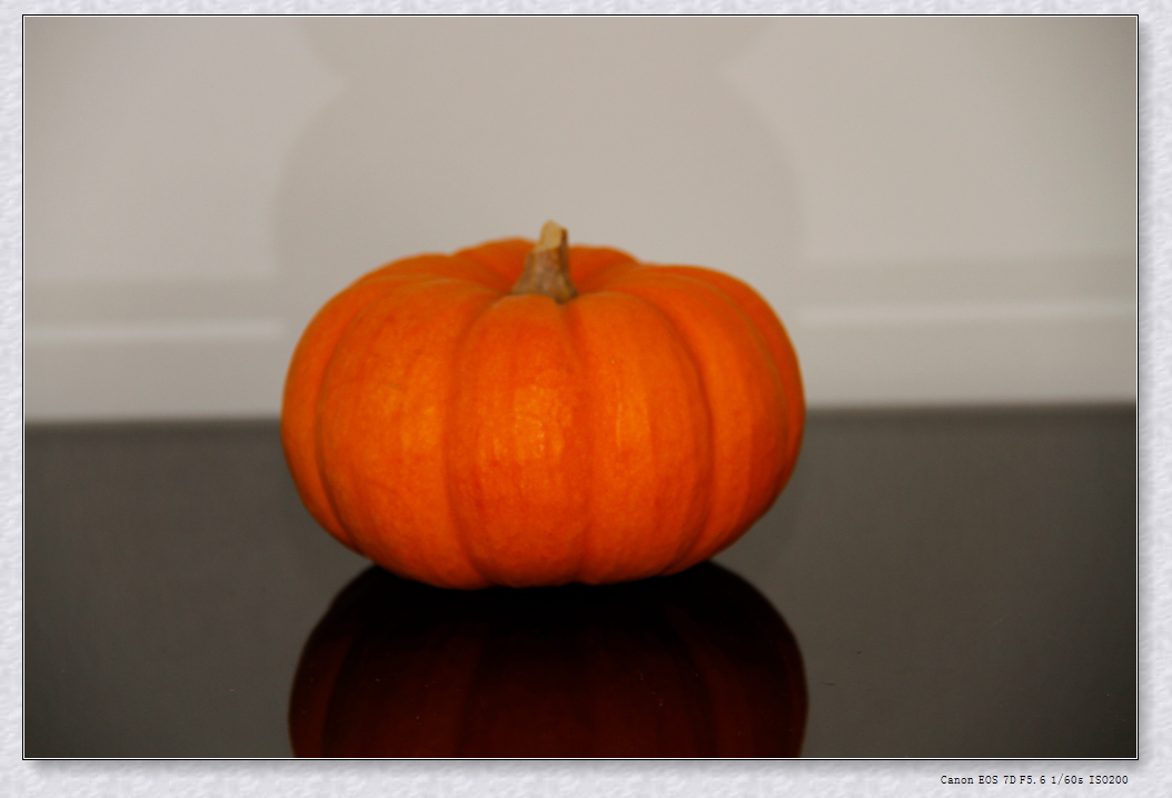_MG_0011.JPG