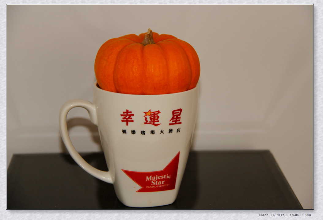 _MG_0009.JPG