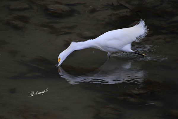 DSC_1898_����.jpg