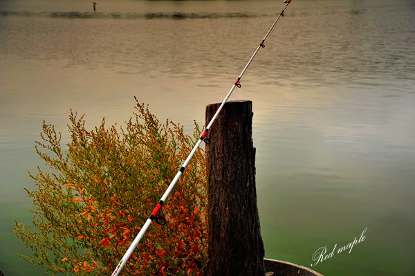 DSC_7494_����.jpg
