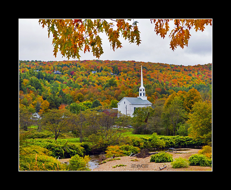 DSC_5957C.jpg