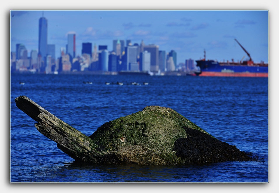 DSC_4350.jpg