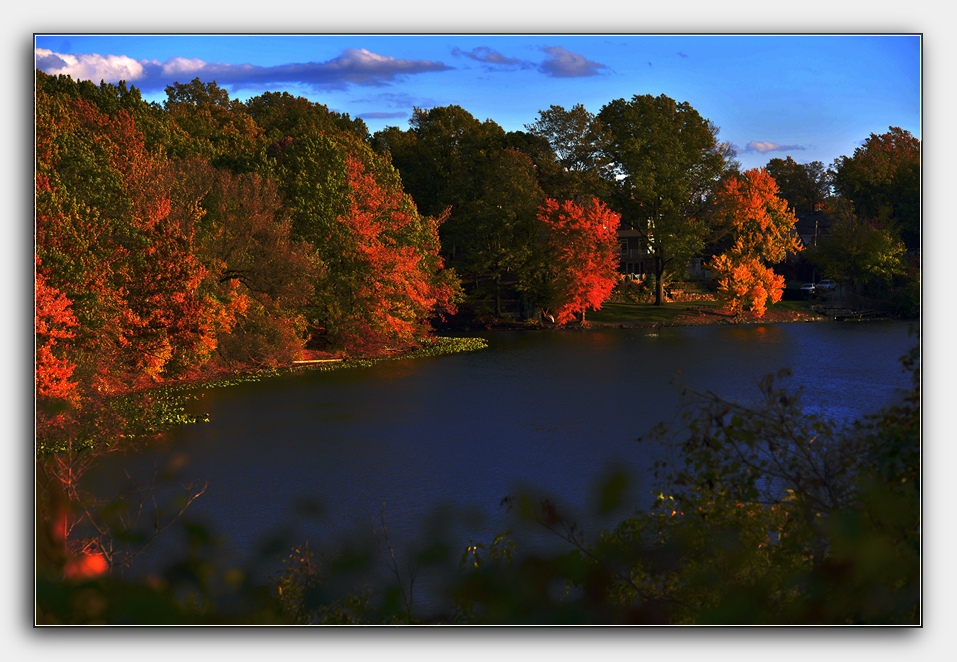 DSC_4367.jpg