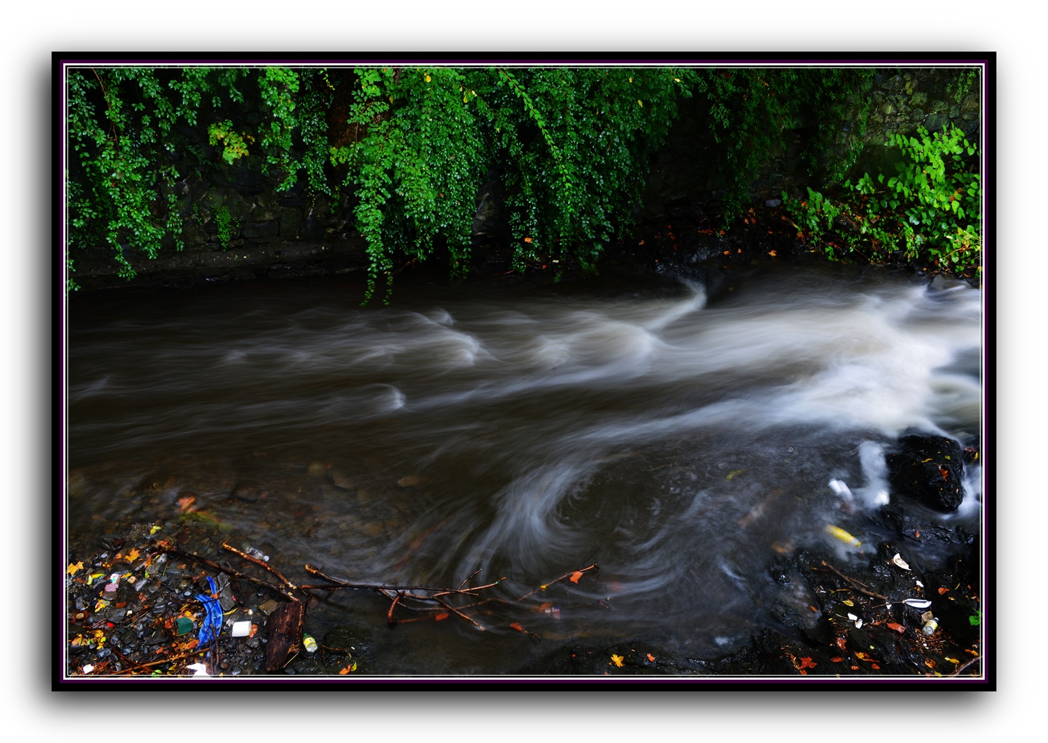 DSC_2786.jpg