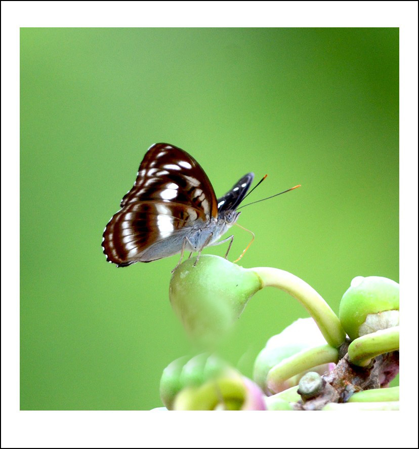 2_2459_7beaac3d81e33a8.jpg