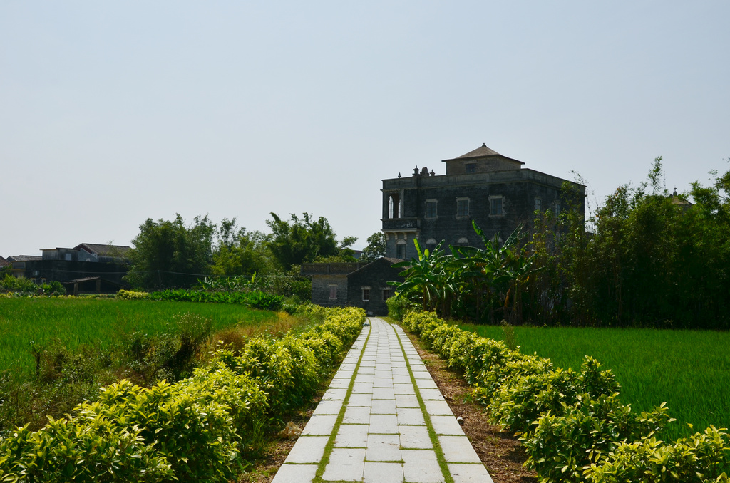 DSC_2609.jpg