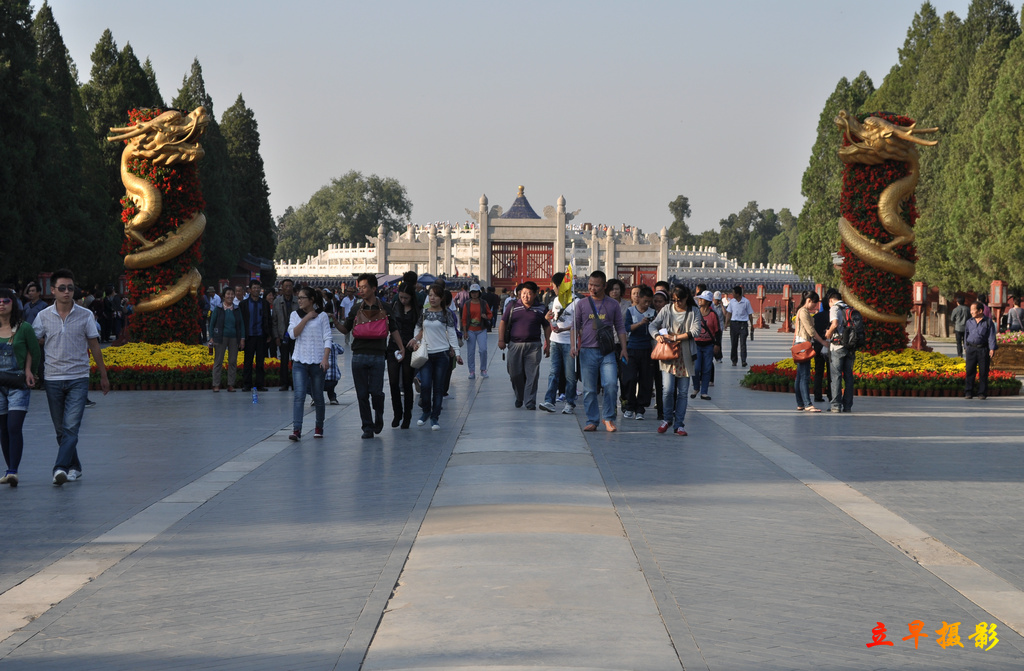DSC_2833.jpg