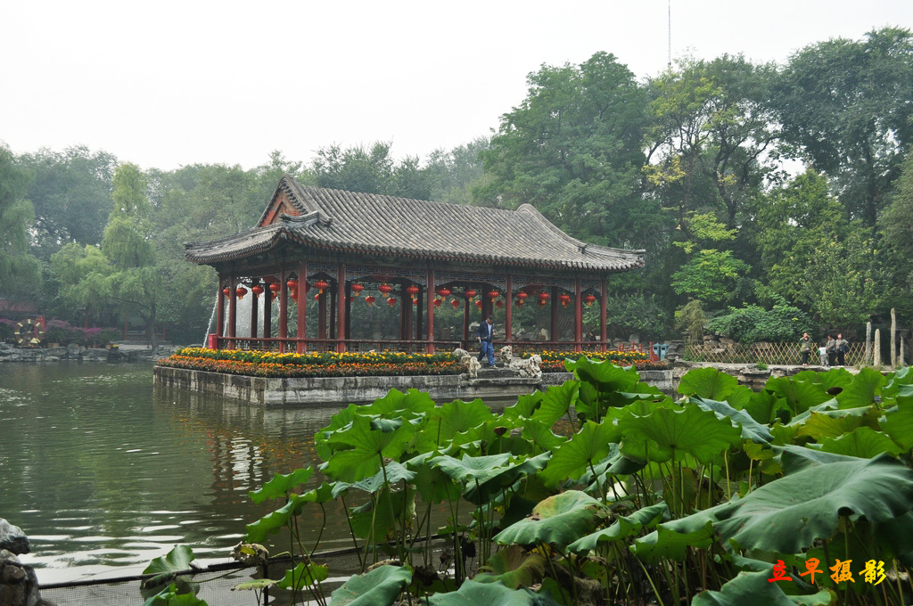 DSC_3201.jpg
