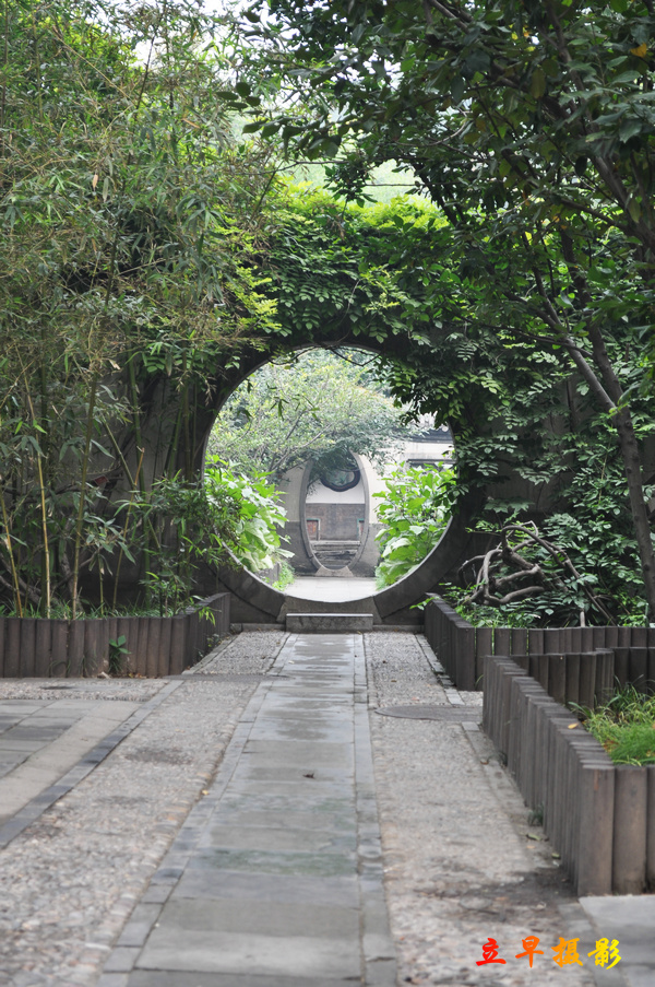 DSC_3213.jpg