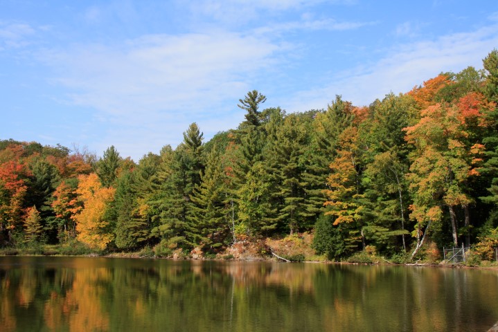 _MG_1383 (Small).JPG