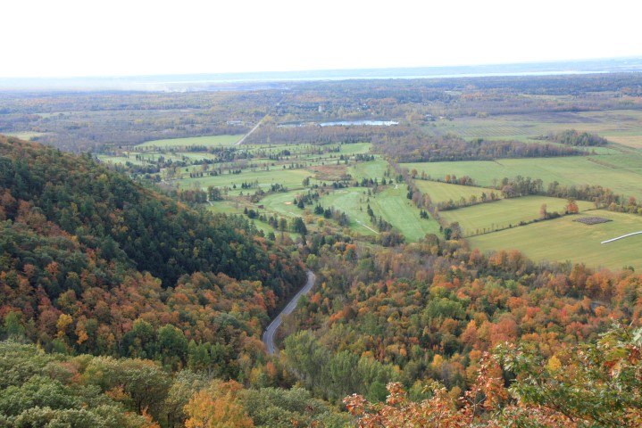 _MG_1593 (Small).JPG