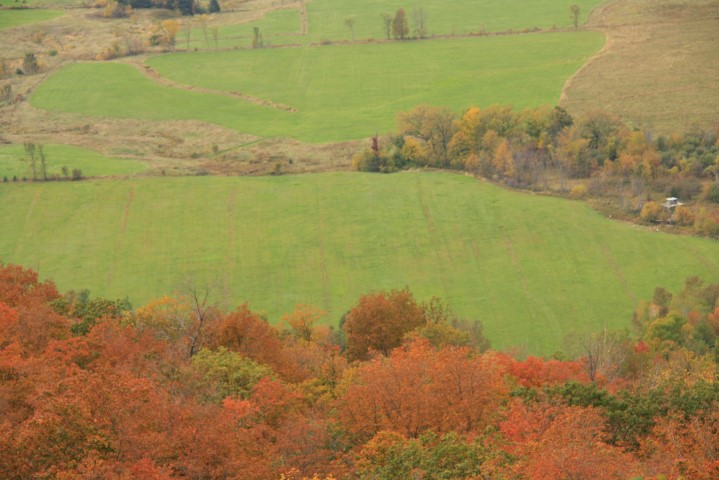 _MG_1332 (Small).JPG