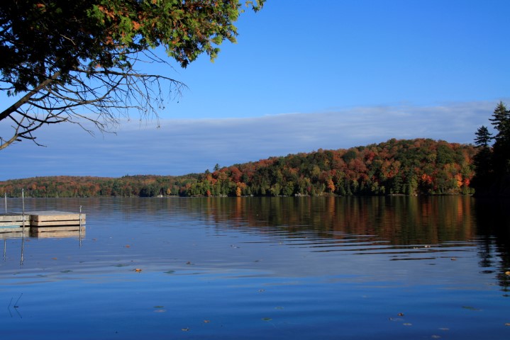 _MG_1718 (Small).JPG