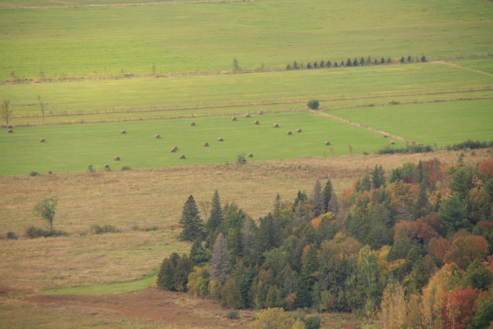 _MG_1338 (Small).JPG