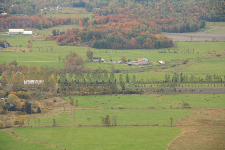 _MG_1316 (Small).JPG