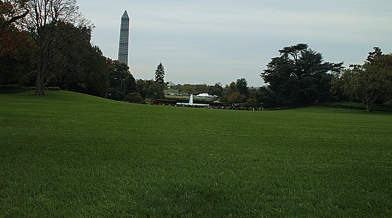 img_3501_.jpg