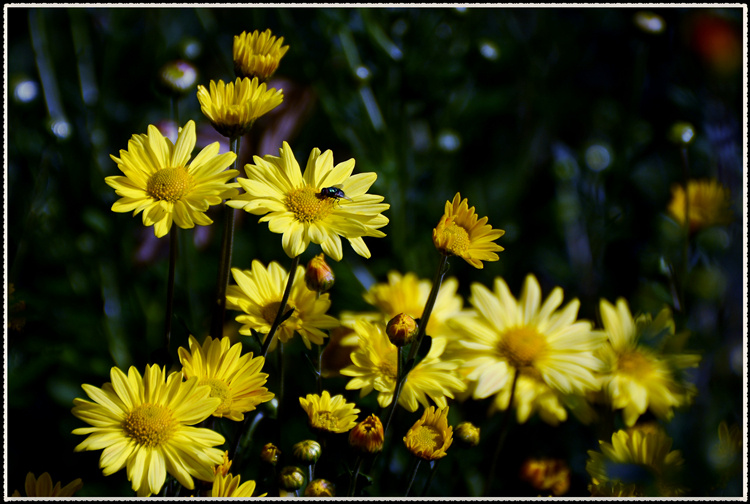 DSC_0876.jpg