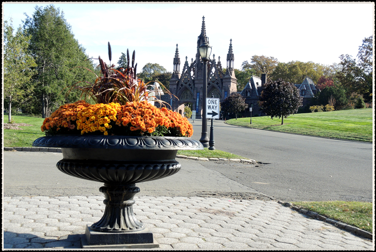 DSCN9743.jpg