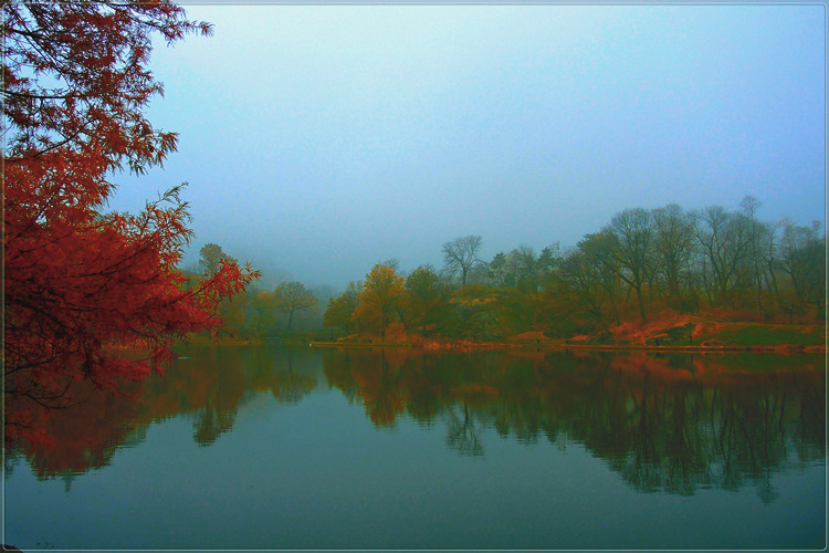 DSCN1447_.jpg