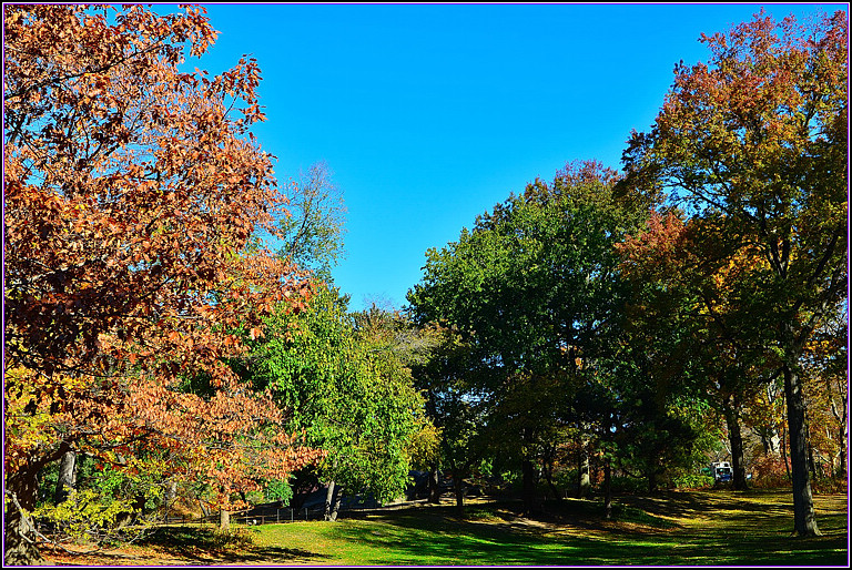 DSC_0946.jpg