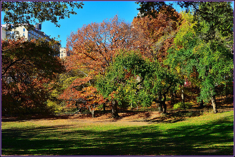 DSC_0945.jpg