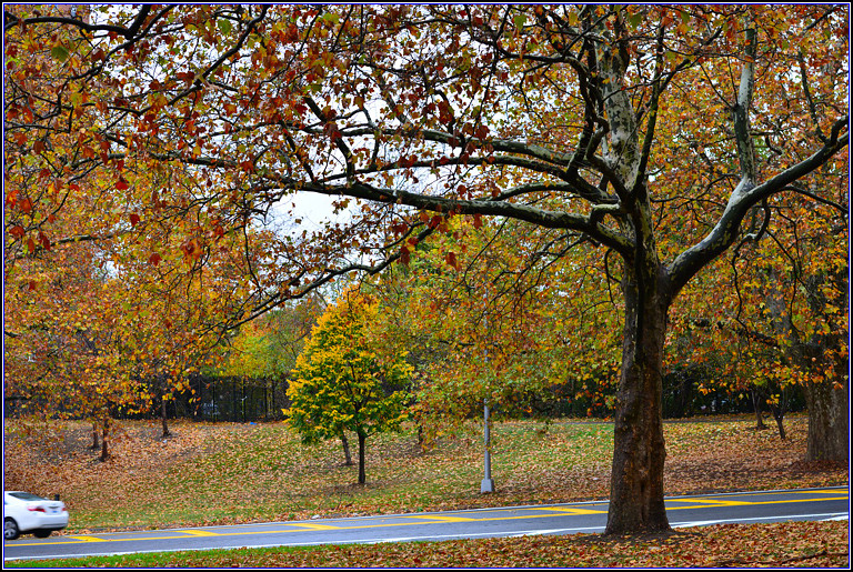 DSC_0681.jpg