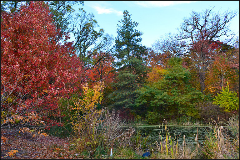 DSC_3260.jpg