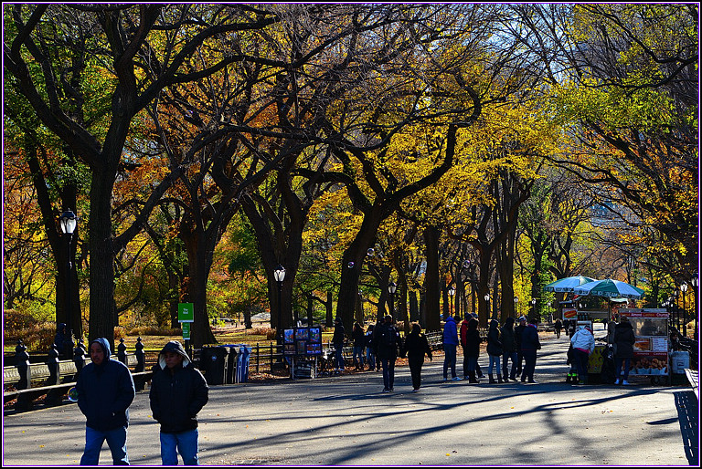 DSC_1139.jpg