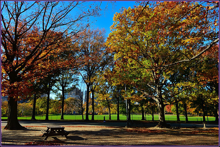 DSC_1121.jpg