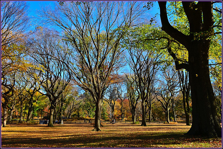 DSC_1125.jpg