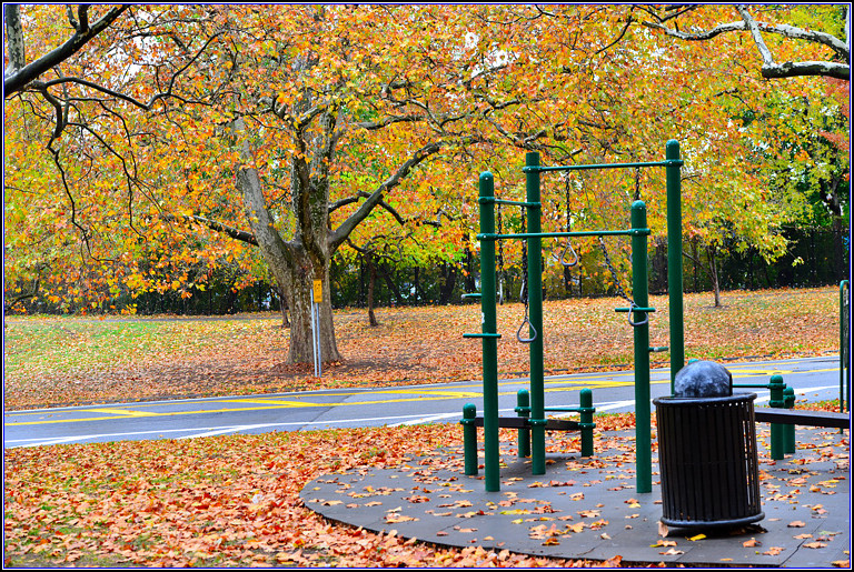 DSC_0682.jpg
