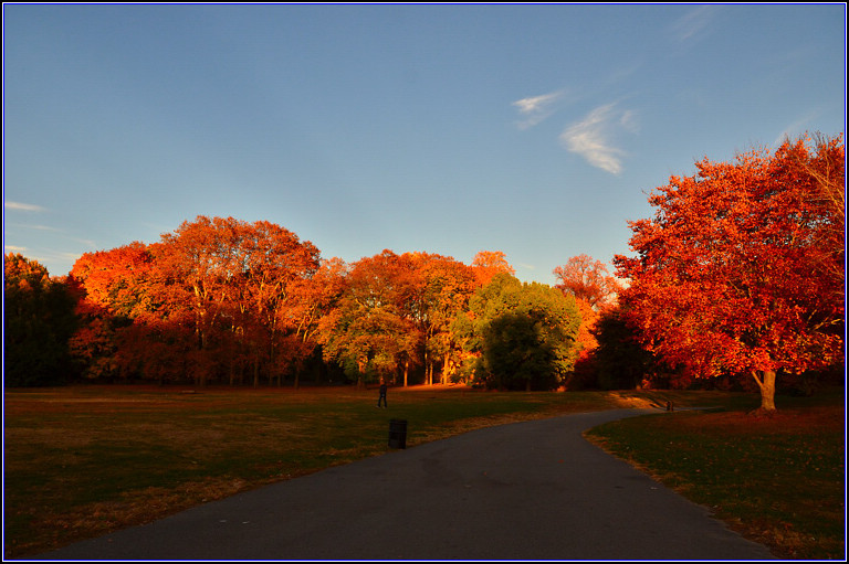 DSC_3267.jpg