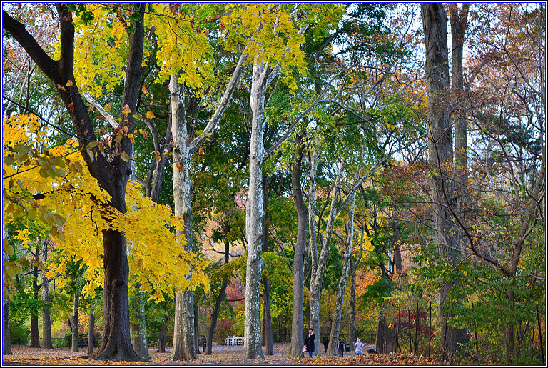 DSC_0544.jpg
