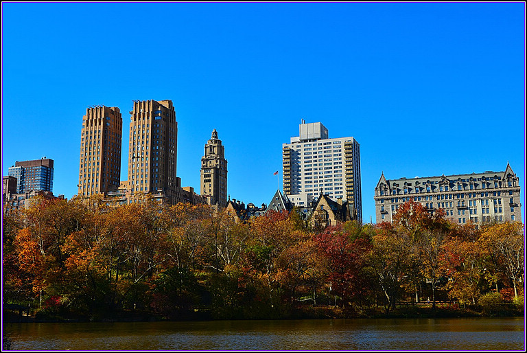 DSC_0992.jpg