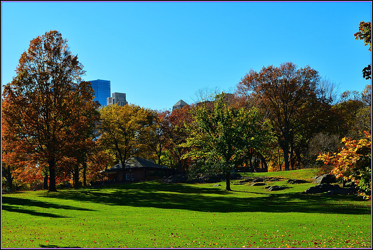 DSC_1083.jpg