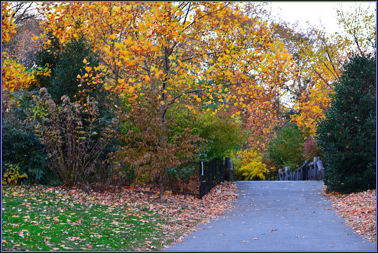 DSC_0627.jpg