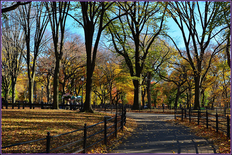 DSC_1134.jpg