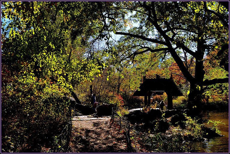 DSC_1065.jpg