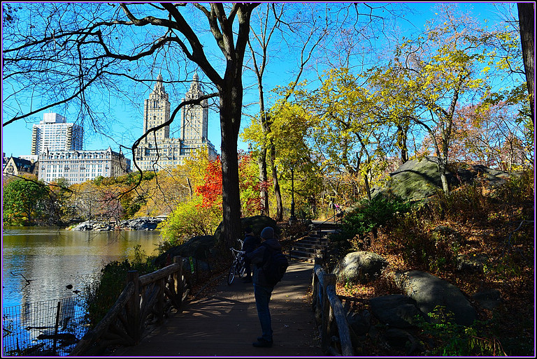DSC_0977.jpg