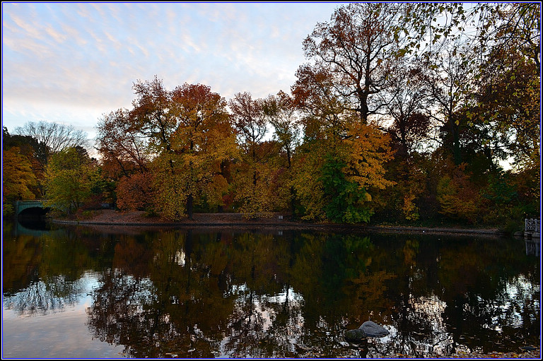 DSC_3298.jpg